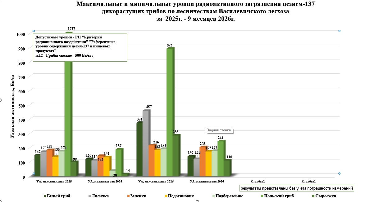 грибы.jpg