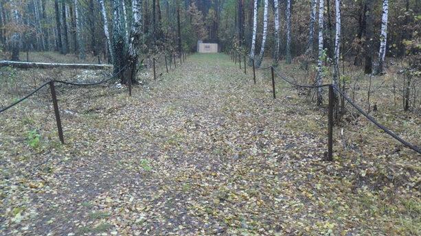 pristrelka1.jpg